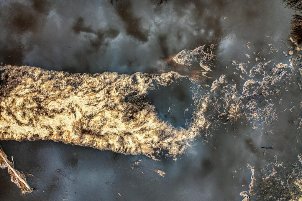 Planta de tratamiento