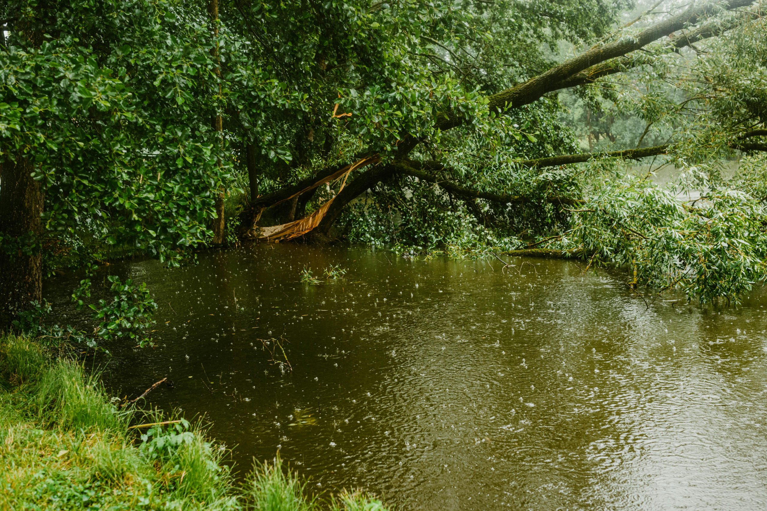 Aguas residuales, mezcla con agua de lluvia en “sistemas combinados” y los desbordes (CSO), qué son, por qué ocurren en tormentas y cómo impactan ríos y salud pública
