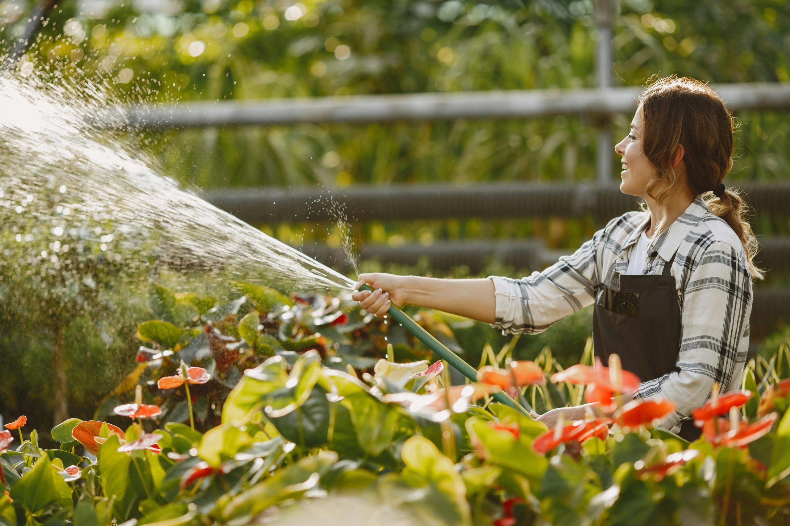 SUDS: cómo reducen el riesgo de inundaciones en colonias y ciudades al capturar, infiltrar y almacenar temporalmente el agua de lluvia en vez de enviarla toda al drenaje de golpe.